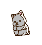 白柴犬ちびキャラスタンプ lineスタンプ（個別スタンプ：20）