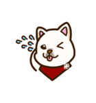 白柴犬ちびキャラスタンプ lineスタンプ（個別スタンプ：30）