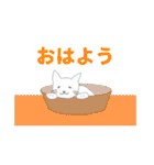 白にゃんこスタンプ3(よく使う言葉セット)（個別スタンプ：1）