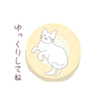 白にゃんこスタンプ3(よく使う言葉セット)（個別スタンプ：19）