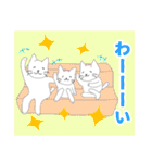 白にゃんこスタンプ3(よく使う言葉セット)（個別スタンプ：24）