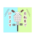 白にゃんこスタンプ3(よく使う言葉セット)（個別スタンプ：30）