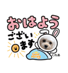 CREA(トイプー)の愛犬スタンプ 10 ことわざ（個別スタンプ：25）