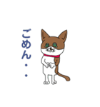 猫のくぅとちぃ（個別スタンプ：6）