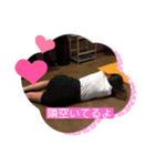 カヤカヤカヤ（個別スタンプ：5）