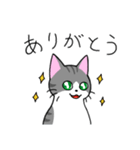 めちゃくちゃ使いやすい猫のスタンプ（個別スタンプ：1）