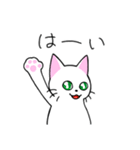 めちゃくちゃ使いやすい猫のスタンプ（個別スタンプ：3）
