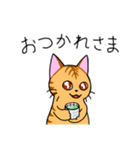 めちゃくちゃ使いやすい猫のスタンプ（個別スタンプ：6）
