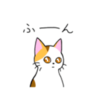 めちゃくちゃ使いやすい猫のスタンプ（個別スタンプ：11）