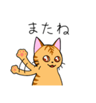 めちゃくちゃ使いやすい猫のスタンプ（個別スタンプ：12）