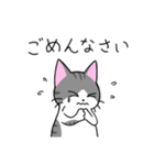 めちゃくちゃ使いやすい猫のスタンプ（個別スタンプ：13）