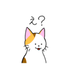めちゃくちゃ使いやすい猫のスタンプ（個別スタンプ：17）
