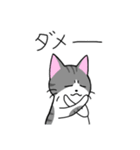 めちゃくちゃ使いやすい猫のスタンプ（個別スタンプ：19）