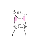 めちゃくちゃ使いやすい猫のスタンプ（個別スタンプ：21）