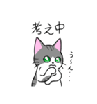 めちゃくちゃ使いやすい猫のスタンプ（個別スタンプ：25）