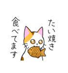 めちゃくちゃ使いやすい猫のスタンプ（個別スタンプ：29）