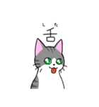 めちゃくちゃ使いやすい猫のスタンプ（個別スタンプ：38）