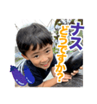 毎日せいごくん3（個別スタンプ：34）