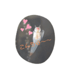 動物のカワイイスタンプだよ！（個別スタンプ：2）
