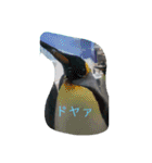 動物のカワイイスタンプだよ！（個別スタンプ：20）