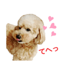 いつもゲンキ（個別スタンプ：6）