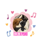 ダックス多めワンコ達（個別スタンプ：2）