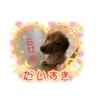 ダックス多めワンコ達（個別スタンプ：23）