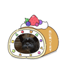 ダックス多めワンコ達（個別スタンプ：28）