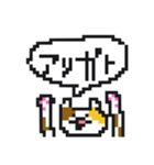 みけくんとポロ（個別スタンプ：5）