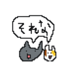 みけくんとポロ（個別スタンプ：10）