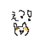 みけくんとポロ（個別スタンプ：14）