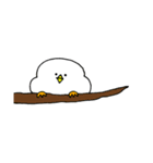 とりだいふく（個別スタンプ：1）