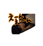 なかよしこよしはっぴー（個別スタンプ：2）