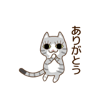 「動く」立ち耳ねこさん（個別スタンプ：3）