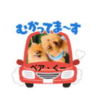 ベアとくーのスタンプ①（個別スタンプ：12）