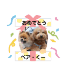 ベアとくーのスタンプ①（個別スタンプ：30）