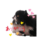 ハナさんスタンプ②（個別スタンプ：1）