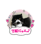 ハナさんスタンプ②（個別スタンプ：9）