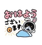 ハナさんスタンプ②（個別スタンプ：15）