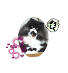 ハナさんスタンプ②（個別スタンプ：16）