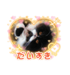ハナさんスタンプ②（個別スタンプ：20）