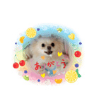 LUNA＆SEAだワン！！使いたい会話～（個別スタンプ：3）