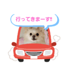 LUNA＆SEAだワン！！使いたい会話～（個別スタンプ：4）