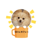 LUNA＆SEAだワン！！使いたい会話～（個別スタンプ：7）