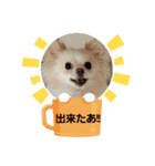 LUNA＆SEAだワン！！使いたい会話～（個別スタンプ：8）