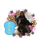 にゃんこの日常パート6（個別スタンプ：14）