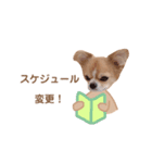 どうも、ちくわです【仕事編】（個別スタンプ：13）