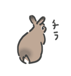 うさぎ沼（茶色）（個別スタンプ：34）