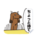 ダイヤ＆ルーク メッセージスタンプ（個別スタンプ：9）