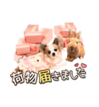 みーちゃんとおイモちゃんのスタンプ♪（個別スタンプ：6）